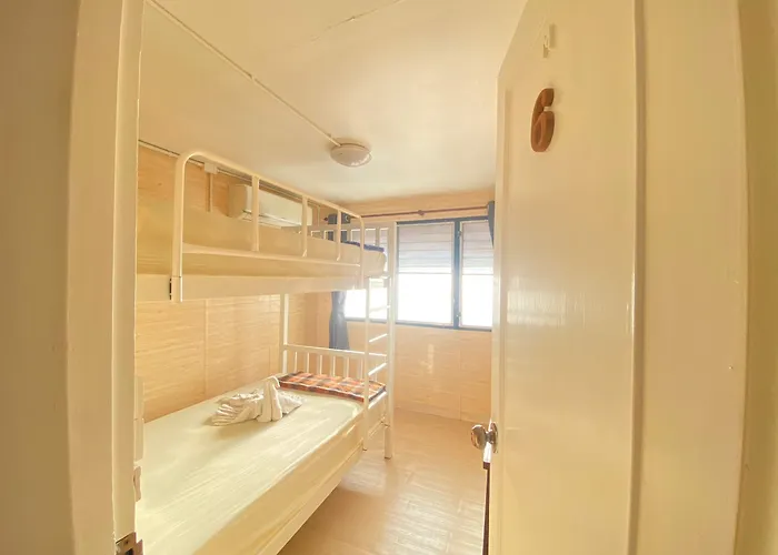 Steve Lady Hotel